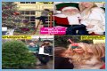 Exclusive: The 'Real Housewives' Personal Christmas Photos!
