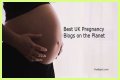 Pregnancy Blogs – Top Pregnancy Blogs and Websites